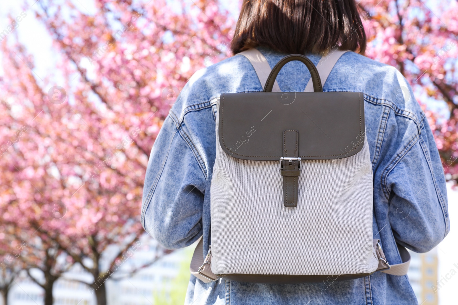 Photo of Young woman with backpack near blossoming sakura trees in park, back view. Space for text