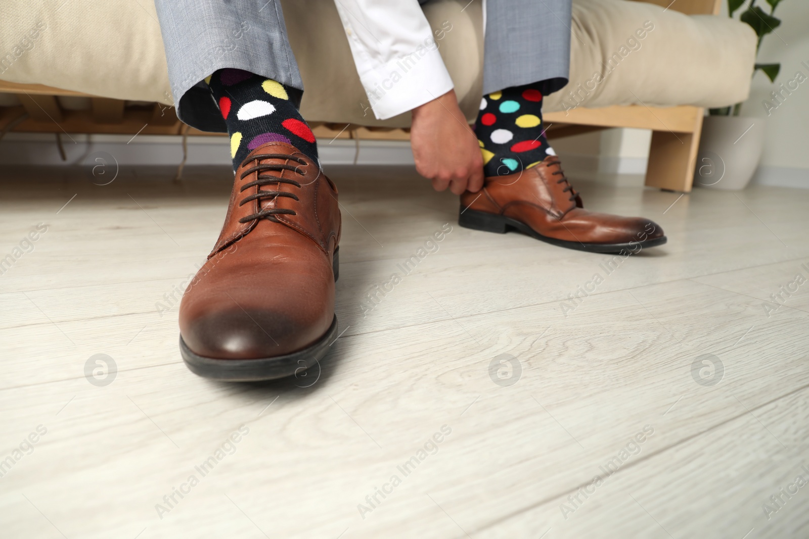 Photo of Man with colorful socks putting on stylish shoes indoors, closeup