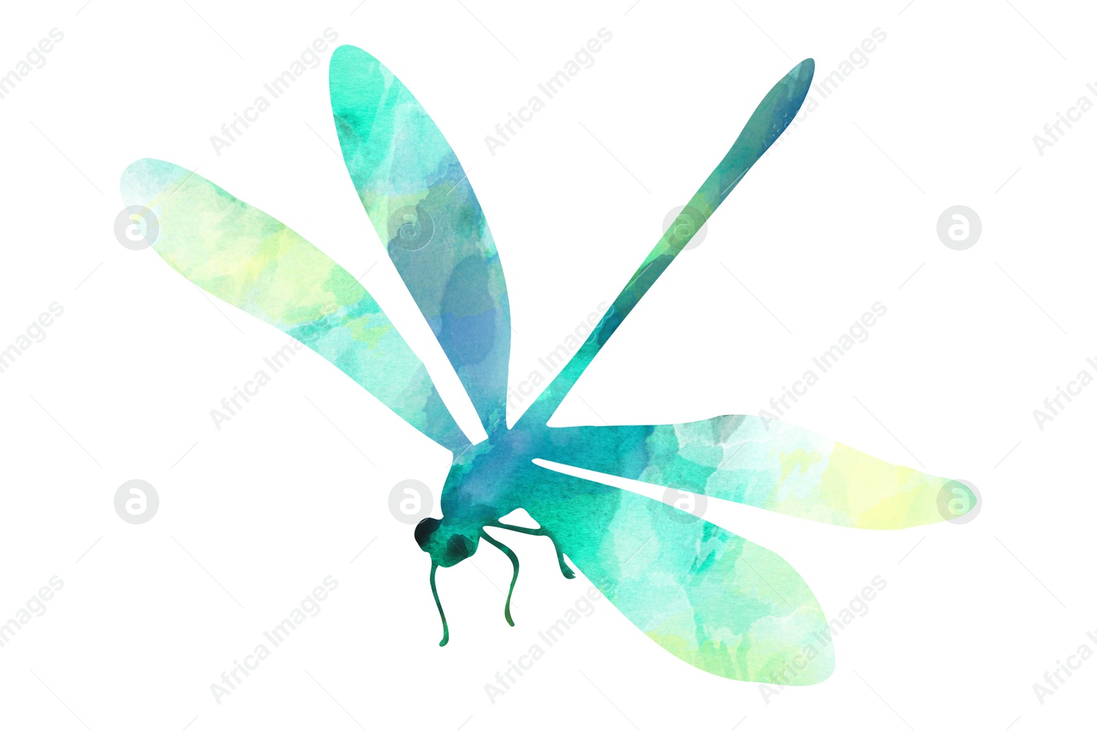 Illustration of Silhouette of dragonfly drawn with watercolor paint on white background