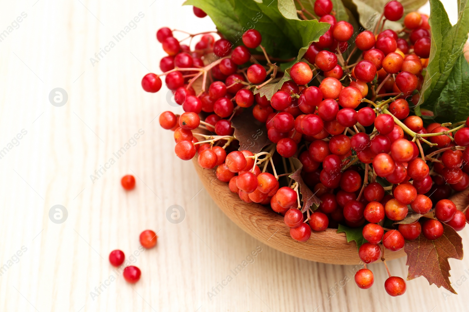 Photo of Bowl with tasty viburnum berries on white wooden table, above view