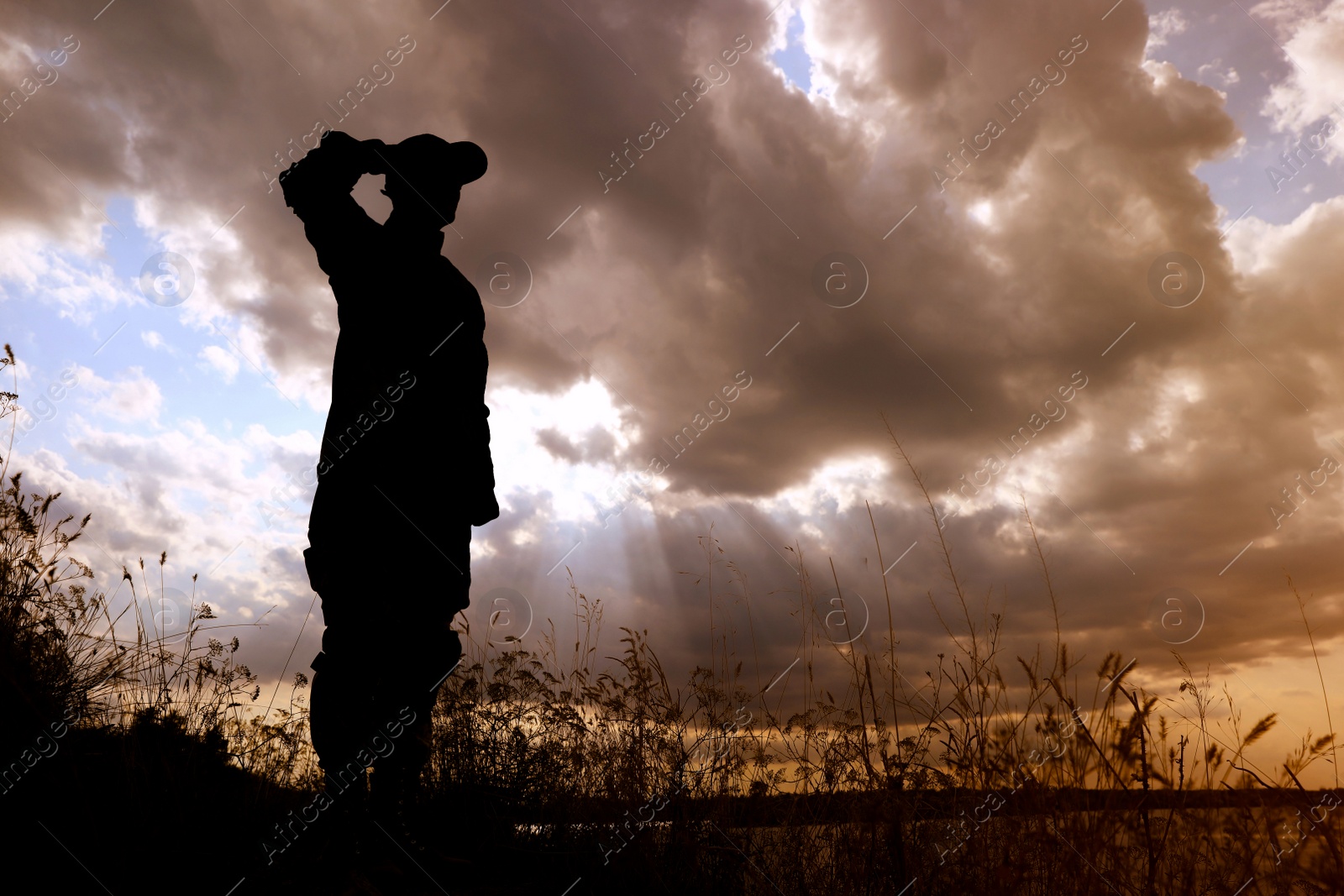 Photo of Soldier in uniform saluting outdoors. Military service