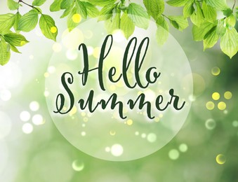 Image of Hello Summer. Beautiful green leaves on blurred background 