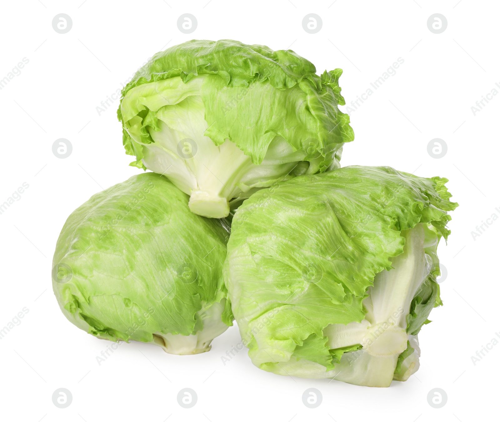 Photo of Fresh green iceberg lettuces isolated on white