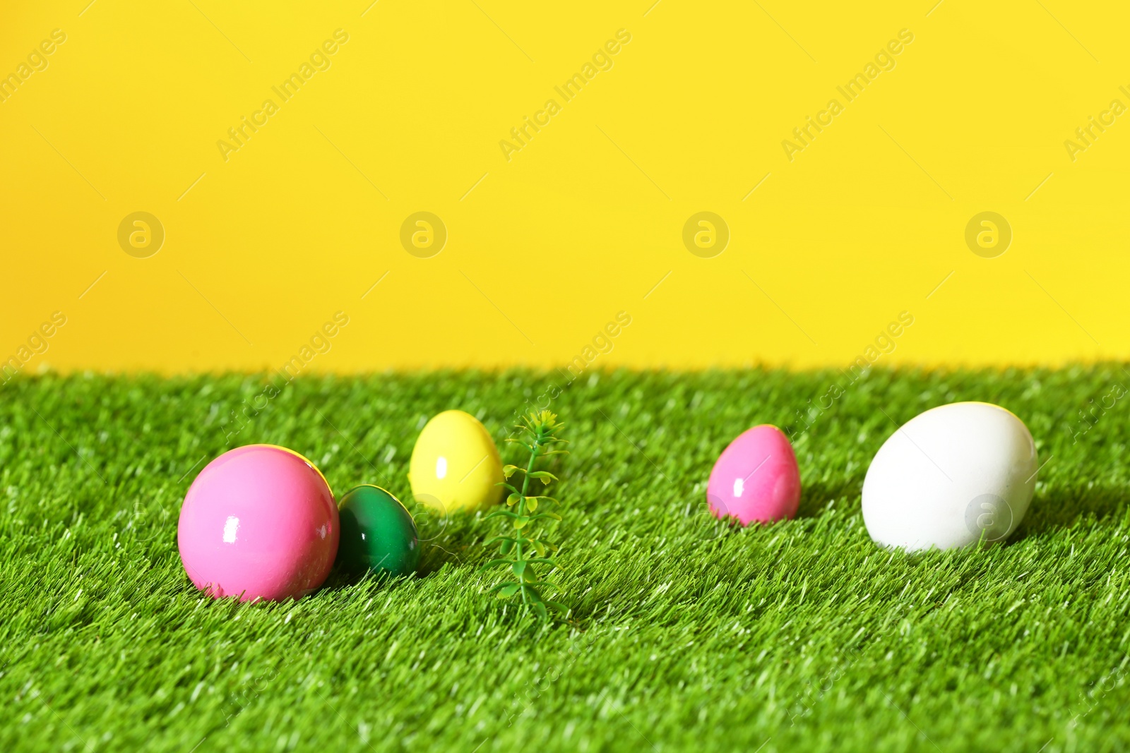 Photo of Easter eggs on green lawn against color background, space for text