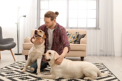 Adorable yellow labrador retrievers with owner at home