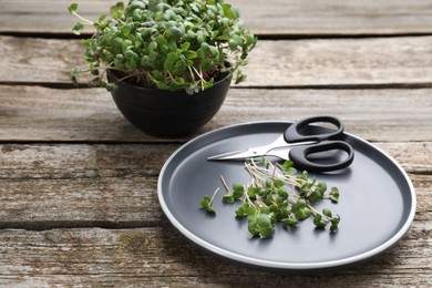 Photo of Bowl and plate with fresh radish microgreens on wooden table