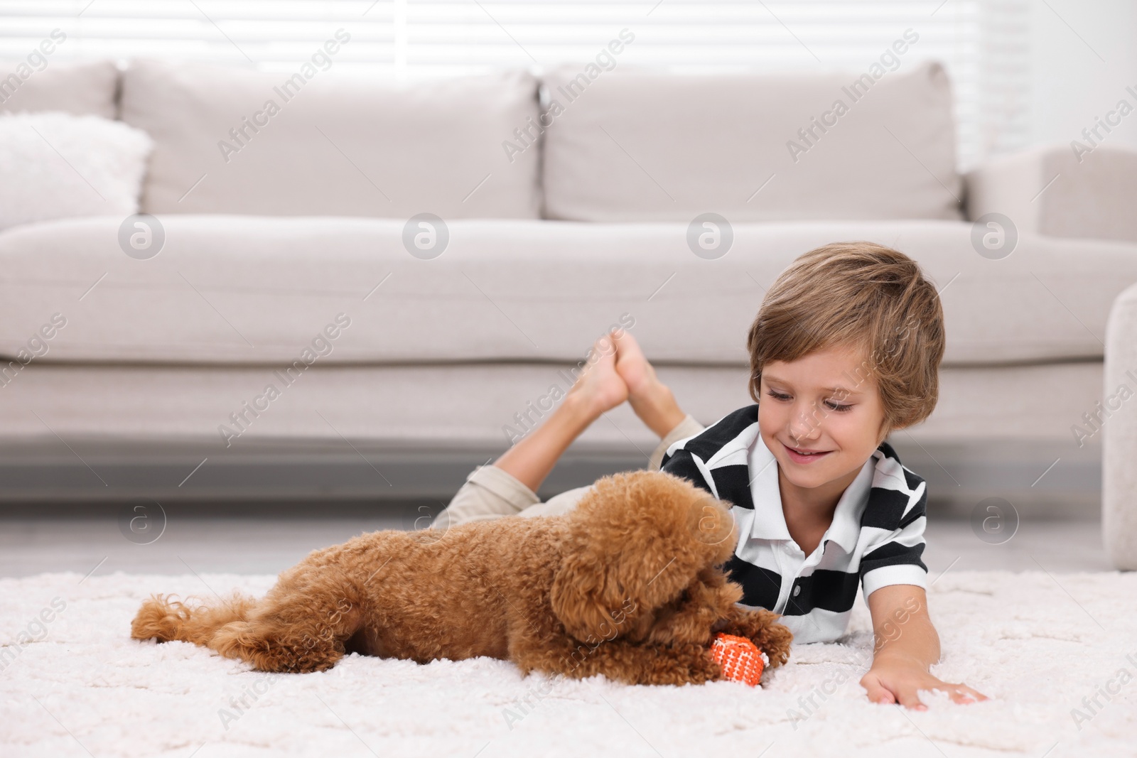 Photo of Little child and cute puppy on carpet at home. Lovely pet