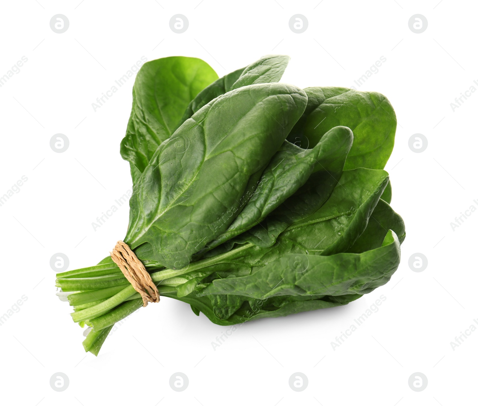 Photo of Bunch of fresh spinach isolated on white