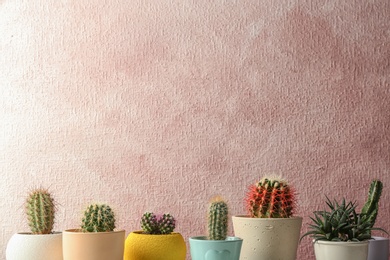 Different potted cacti near color wall, space for text. Interior decor