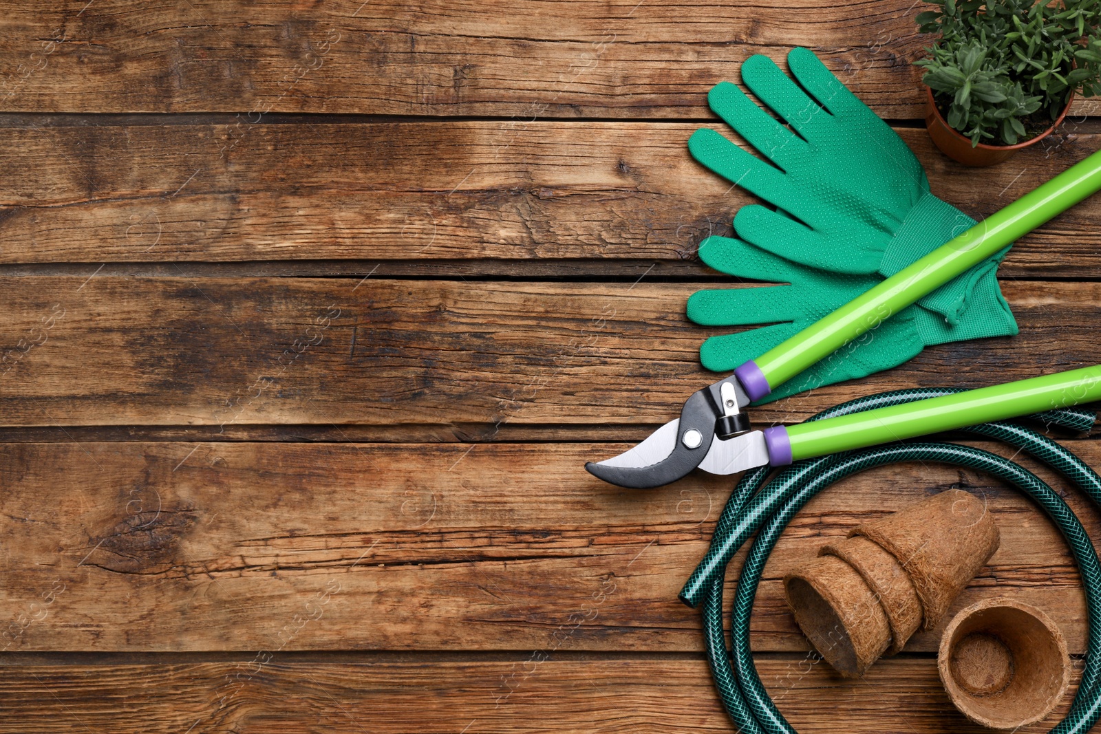 Photo of Flat lay composition with gardening tools and green plant on wooden background, space for text