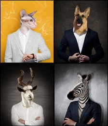 Image of Businessmen with faces of different animals on color background. Set of portraits