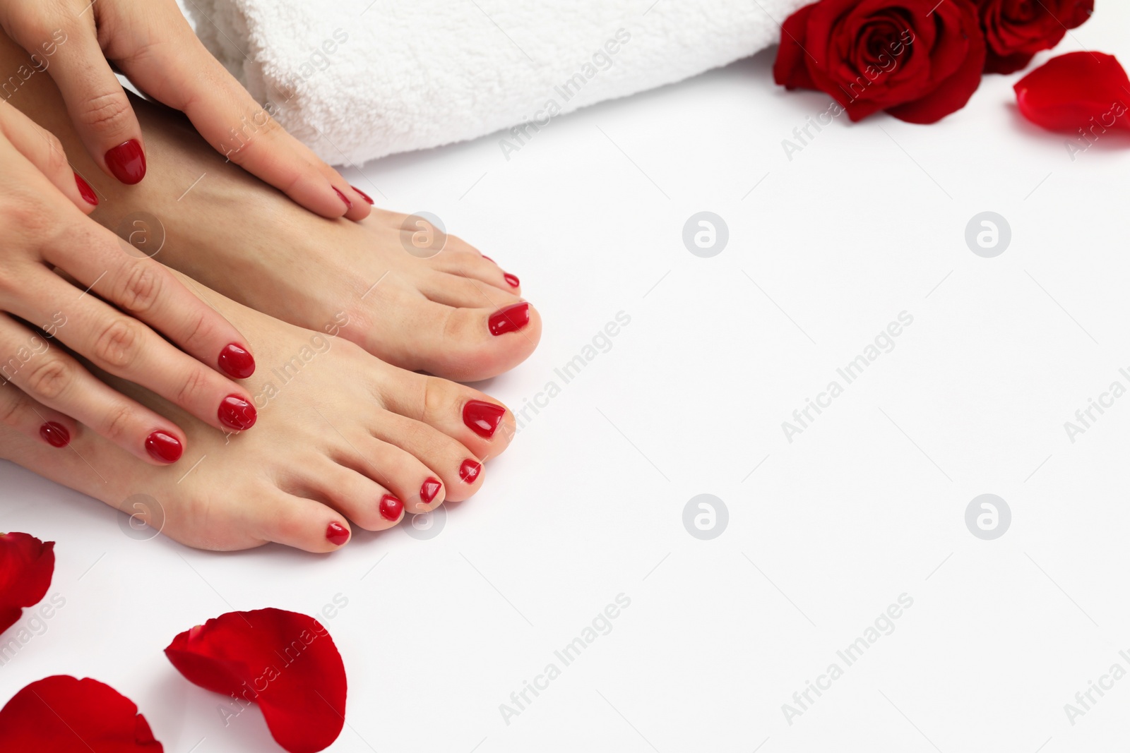 Photo of Woman with stylish red toenails after pedicure procedure and rose petals on white background, closeup. Space for text