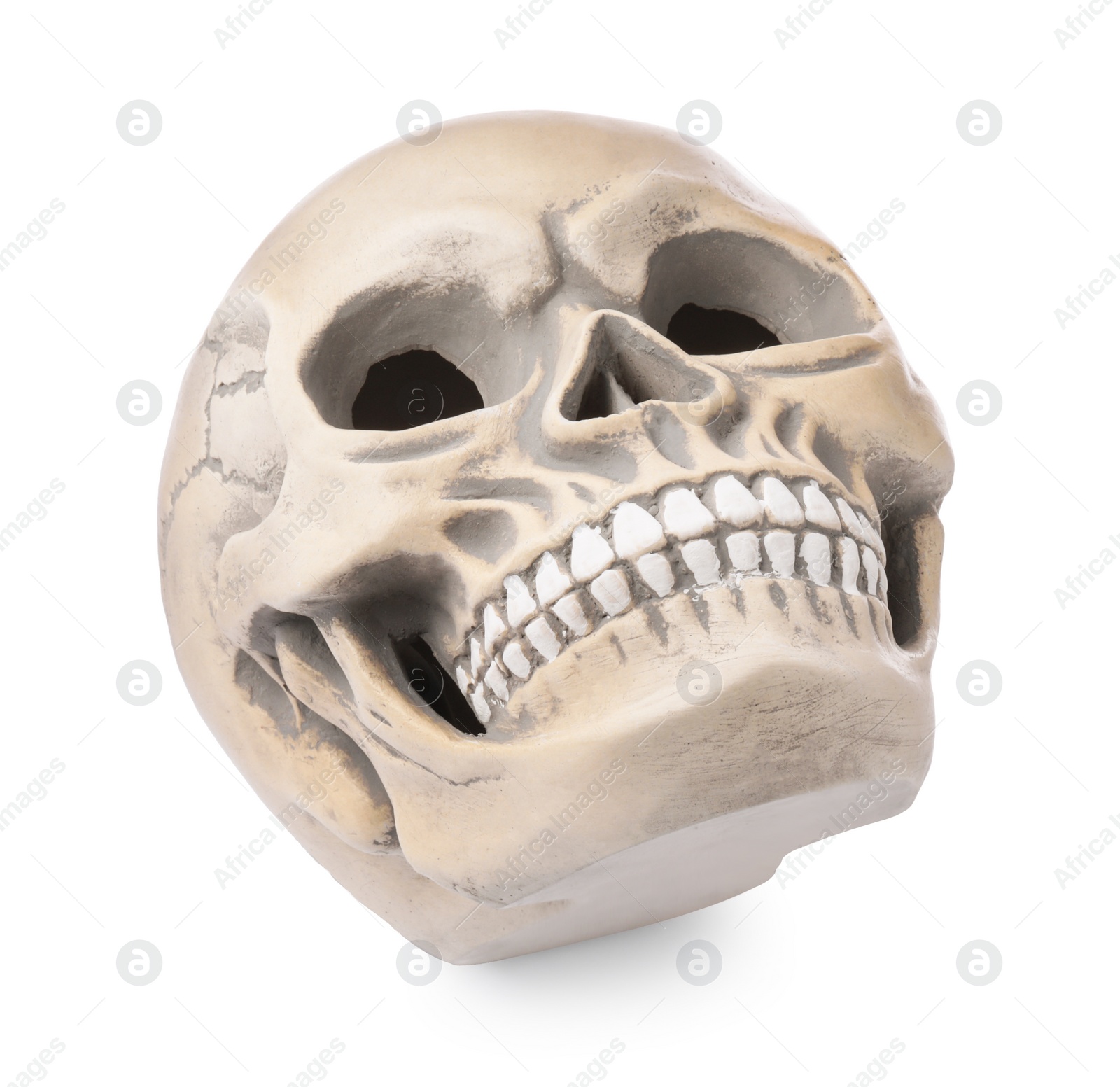 Photo of Human skull with teeth isolated on white