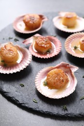 Photo of Delicious fried scallops in shells on grey table, closeup