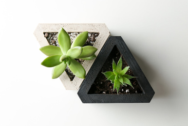 Succulent plants on white table, flat lay