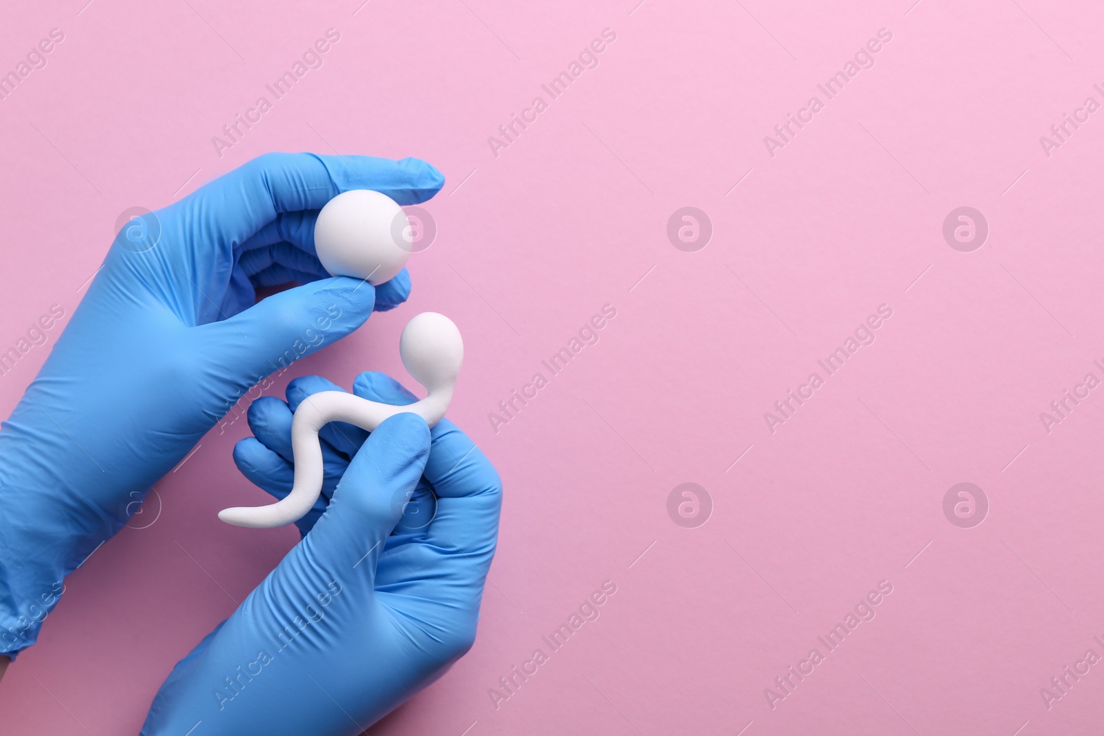 Photo of Reproductive medicine. Fertility specialist in gloves holding figures of sperm and egg cells on pink background, top view with space for text