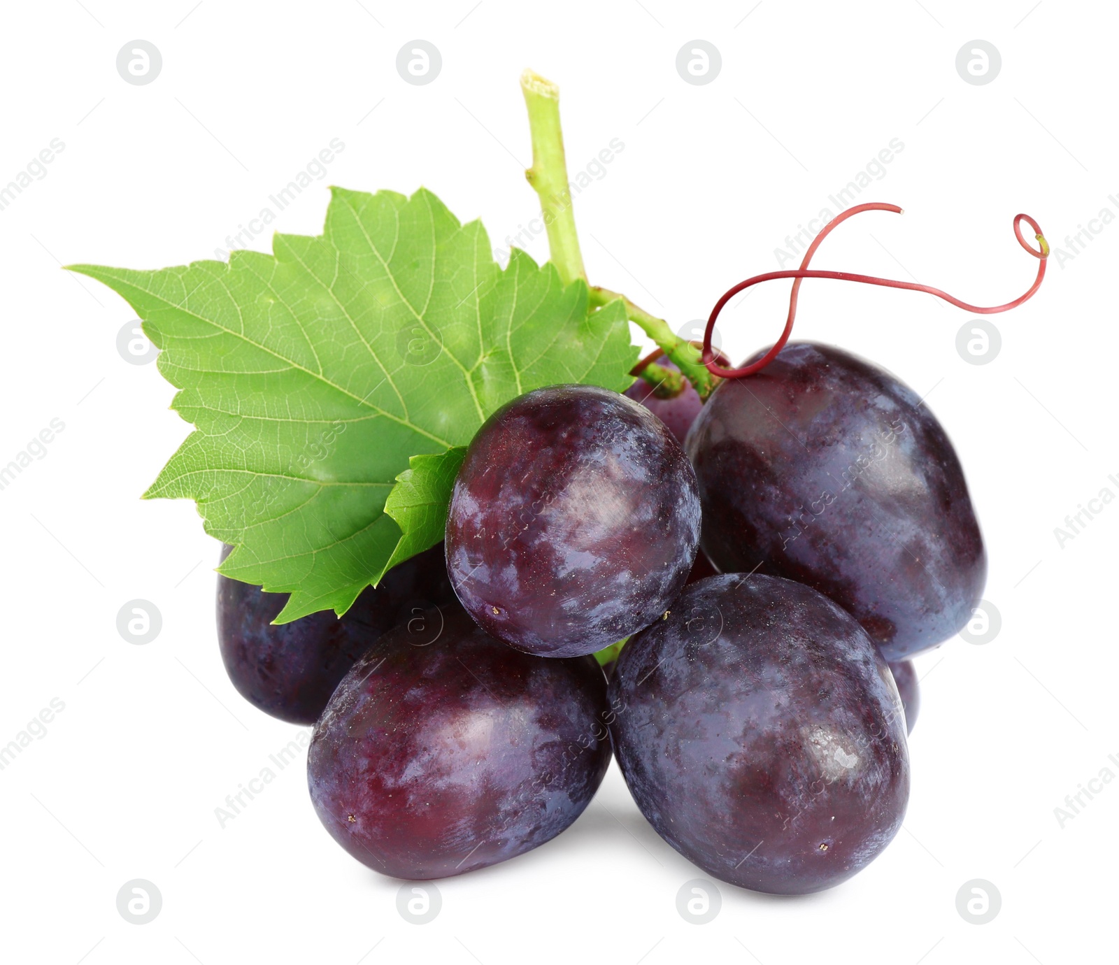 Photo of Fresh ripe juicy pink grapes isolated on white