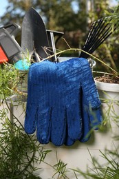 Photo of Wooden crate with gardening gloves, tools and potted plant outdoors, closeup