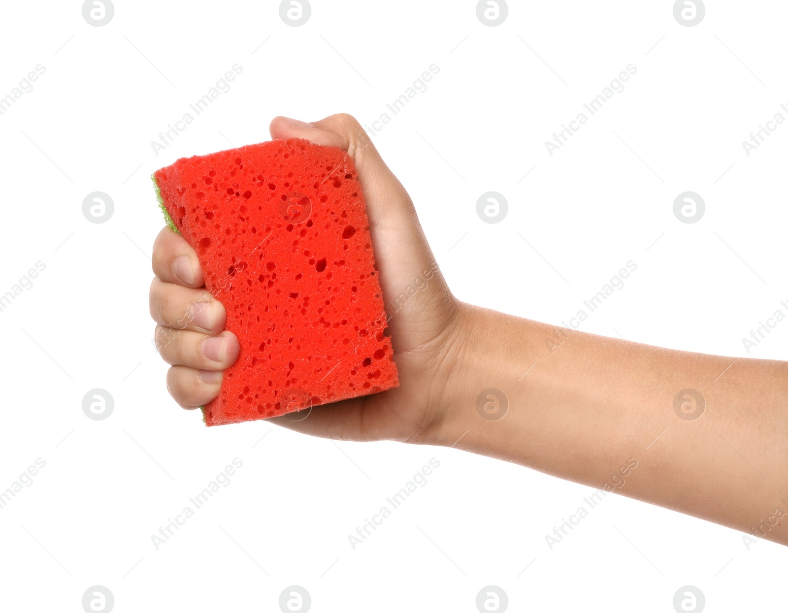 Photo of Woman holding cleaning sponge for dish washing on white background, closeup