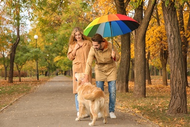 Young couple with umbrella and dog walking in park