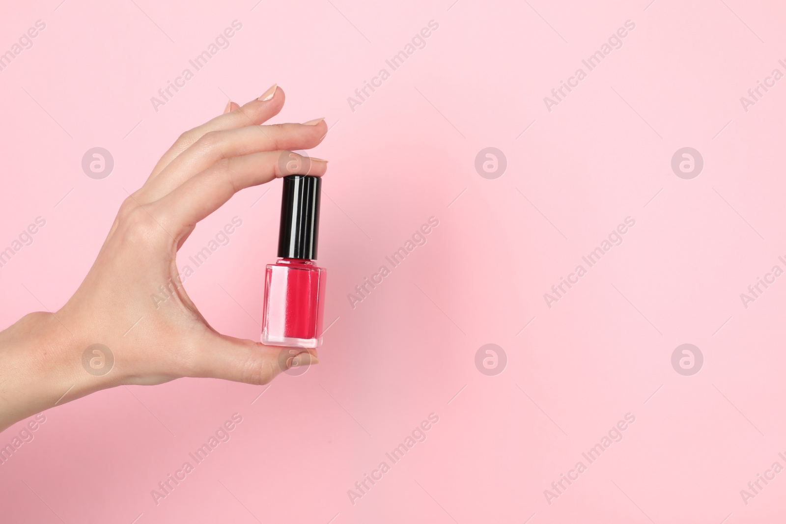 Photo of Woman holding nail polish on pink background, closeup. Space for text