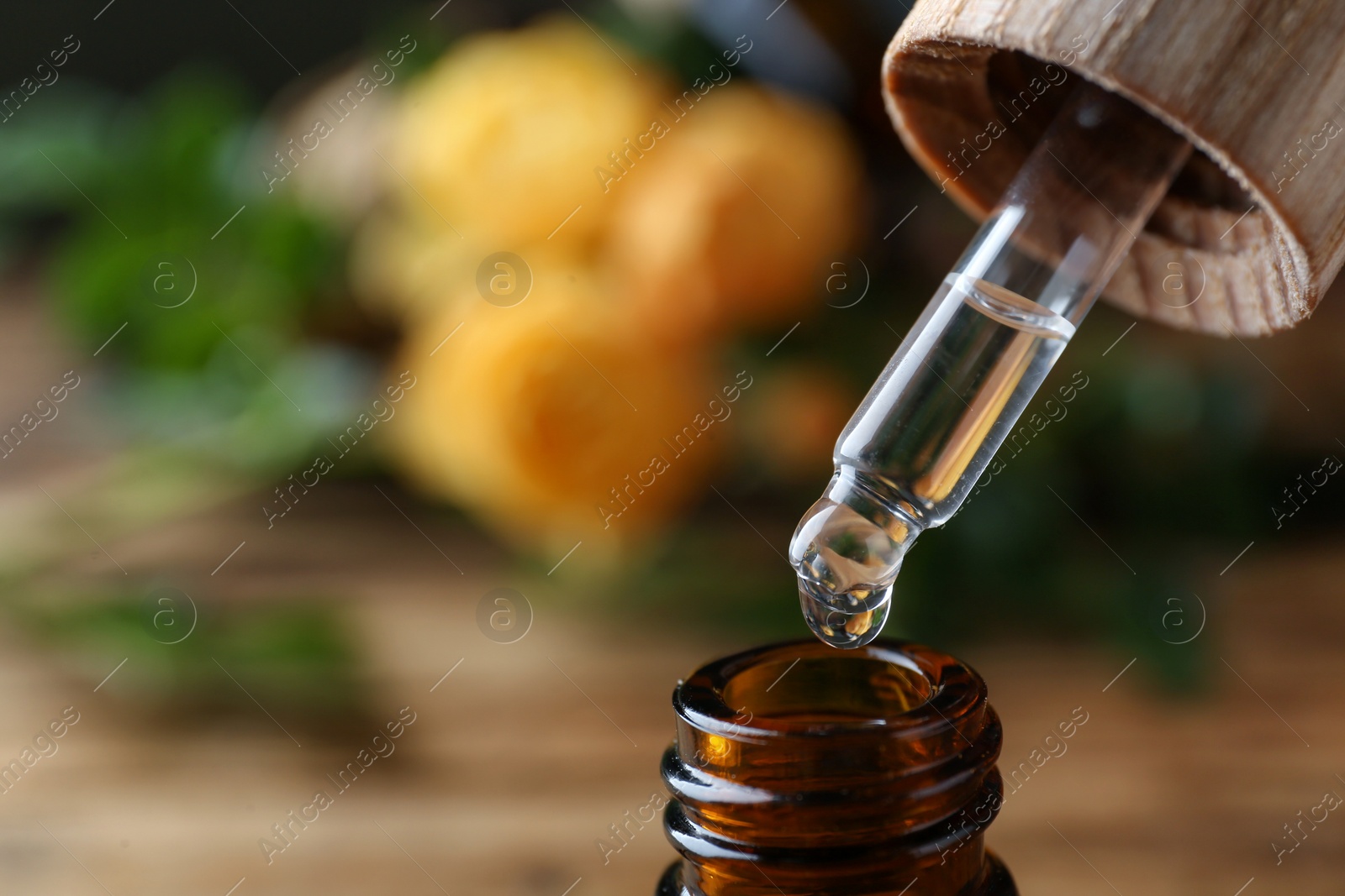 Photo of Dripping rose essential oil from pipette into bottle on blurred background, closeup. Space for text