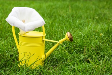 Watering can with beautiful datura flower on green grass outdoors, space for text