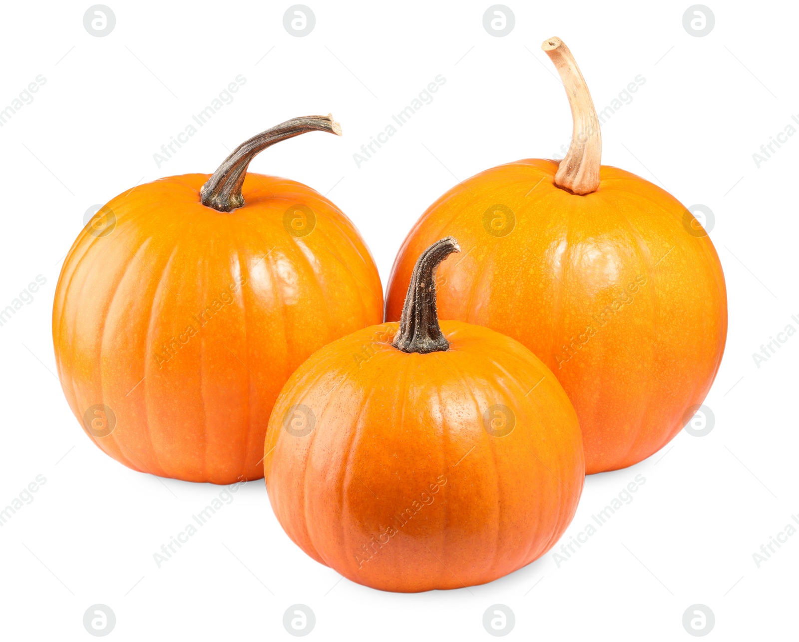 Photo of Many fresh orange pumpkins isolated on white