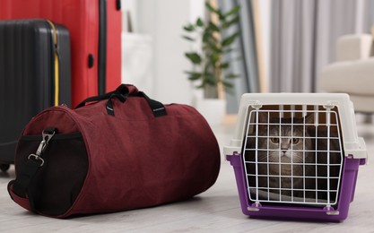 Photo of Travel with pet. Cute cat in carrier and bag at home