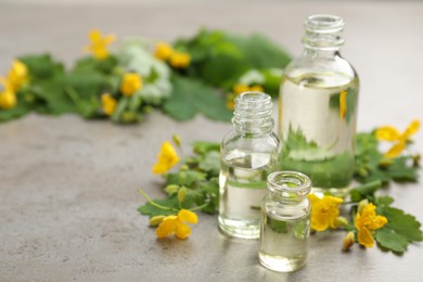 Photo of Bottles of natural celandine oil near flowers on grey stone table. Space for text