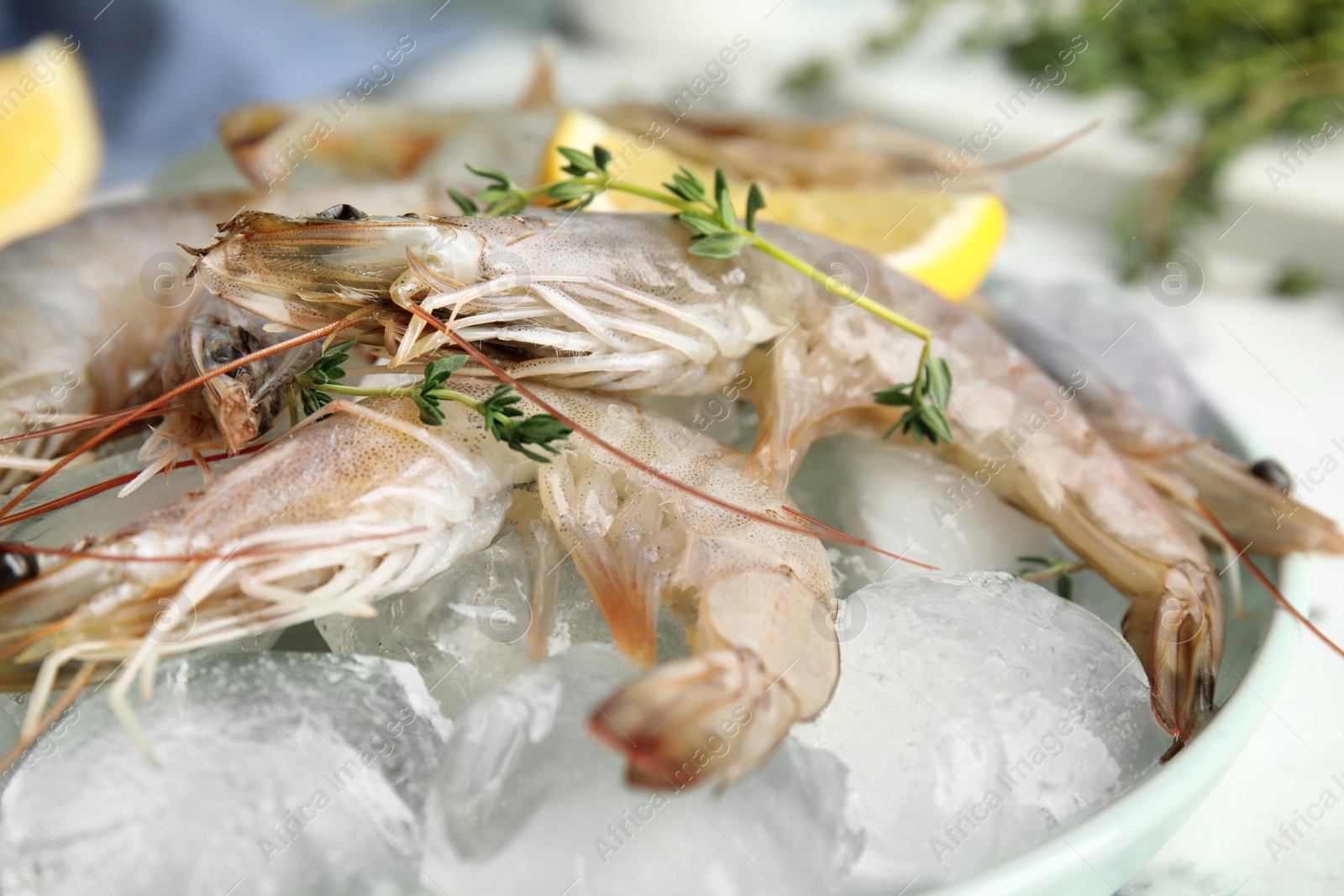 Photo of Raw shrimps with ice and thyme on table, closeup