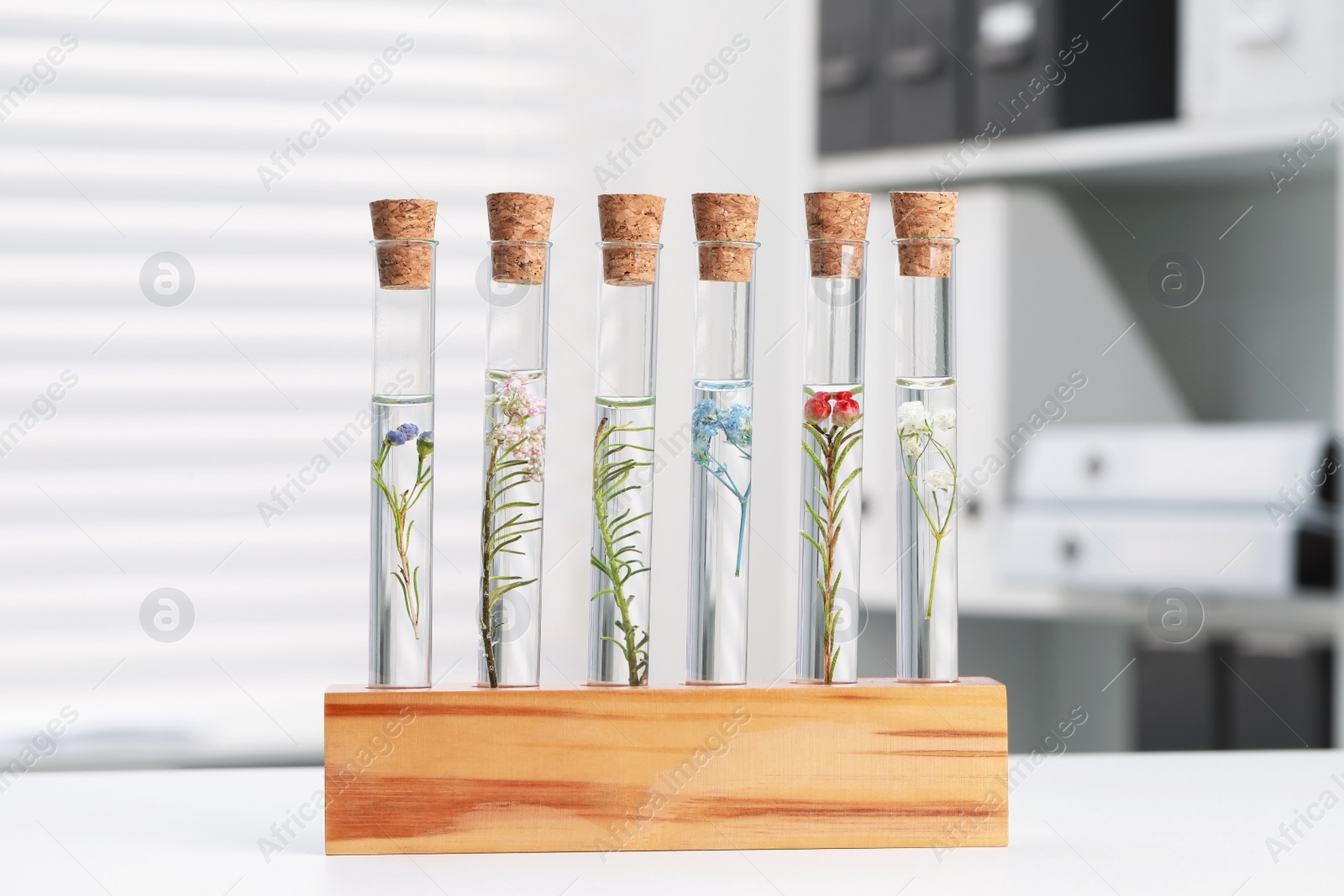 Photo of Test tubes with different plants on white table in laboratory