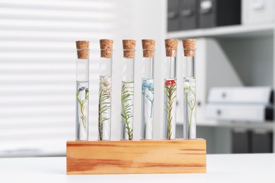 Photo of Test tubes with different plants on white table in laboratory