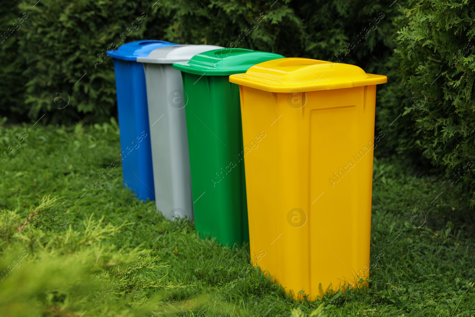 Photo of Many color recycling bins on green grass outdoors