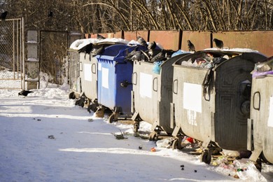 Photo of Doves feeding in bins outdoors on sunny day