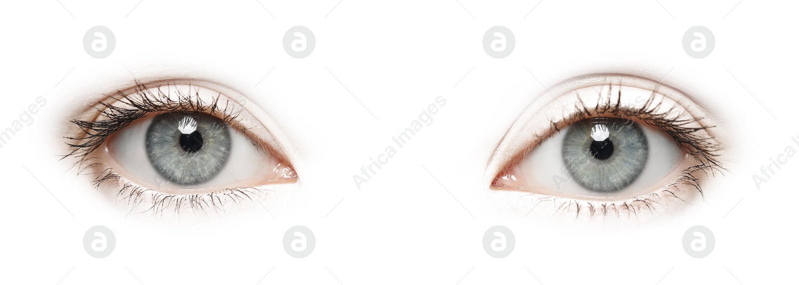 Image of Beautiful human eyes on white background. Banner design