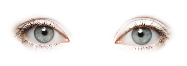 Beautiful human eyes on white background. Banner design