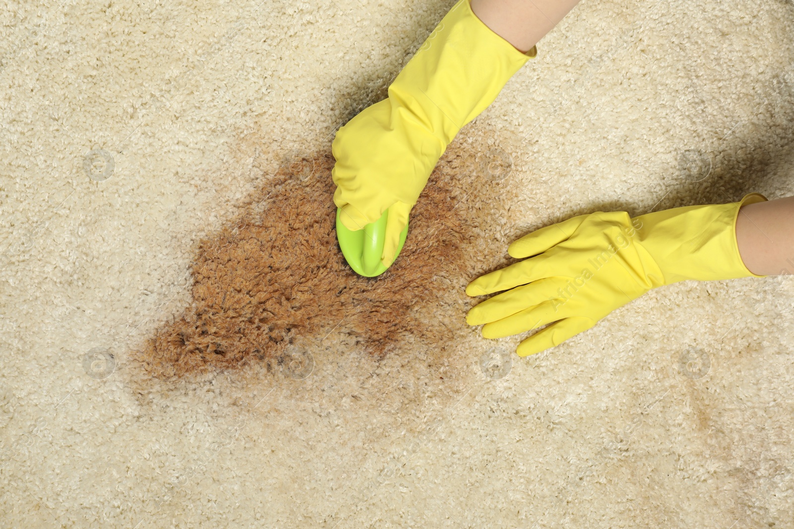 Photo of Woman removing stain from beige carpet, top view