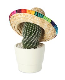 Cactus with Mexican sombrero hat isolated on white