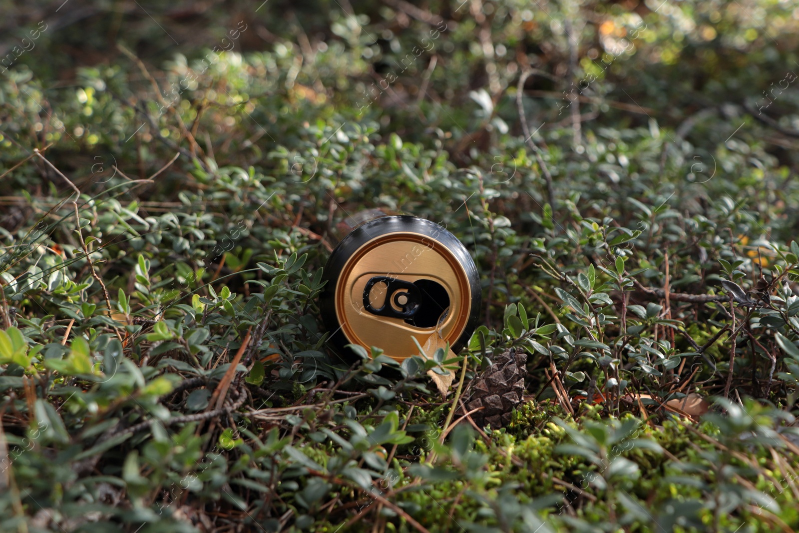 Photo of Used aluminium can on green grass outdoors. Recycling problem