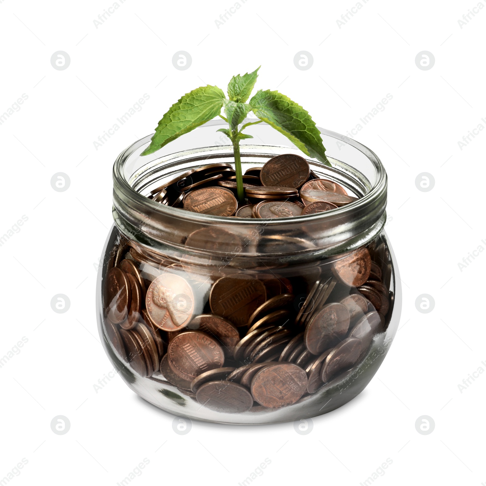 Photo of Jar with coins and green plant on white background. Investment concept