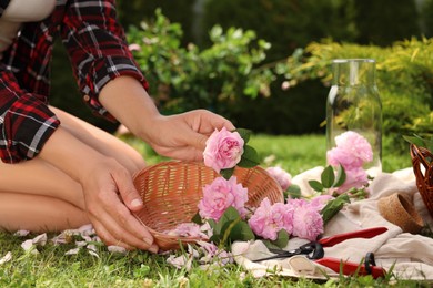 Photo of Woman collecting tea roses outdoors on sunny day, closeup