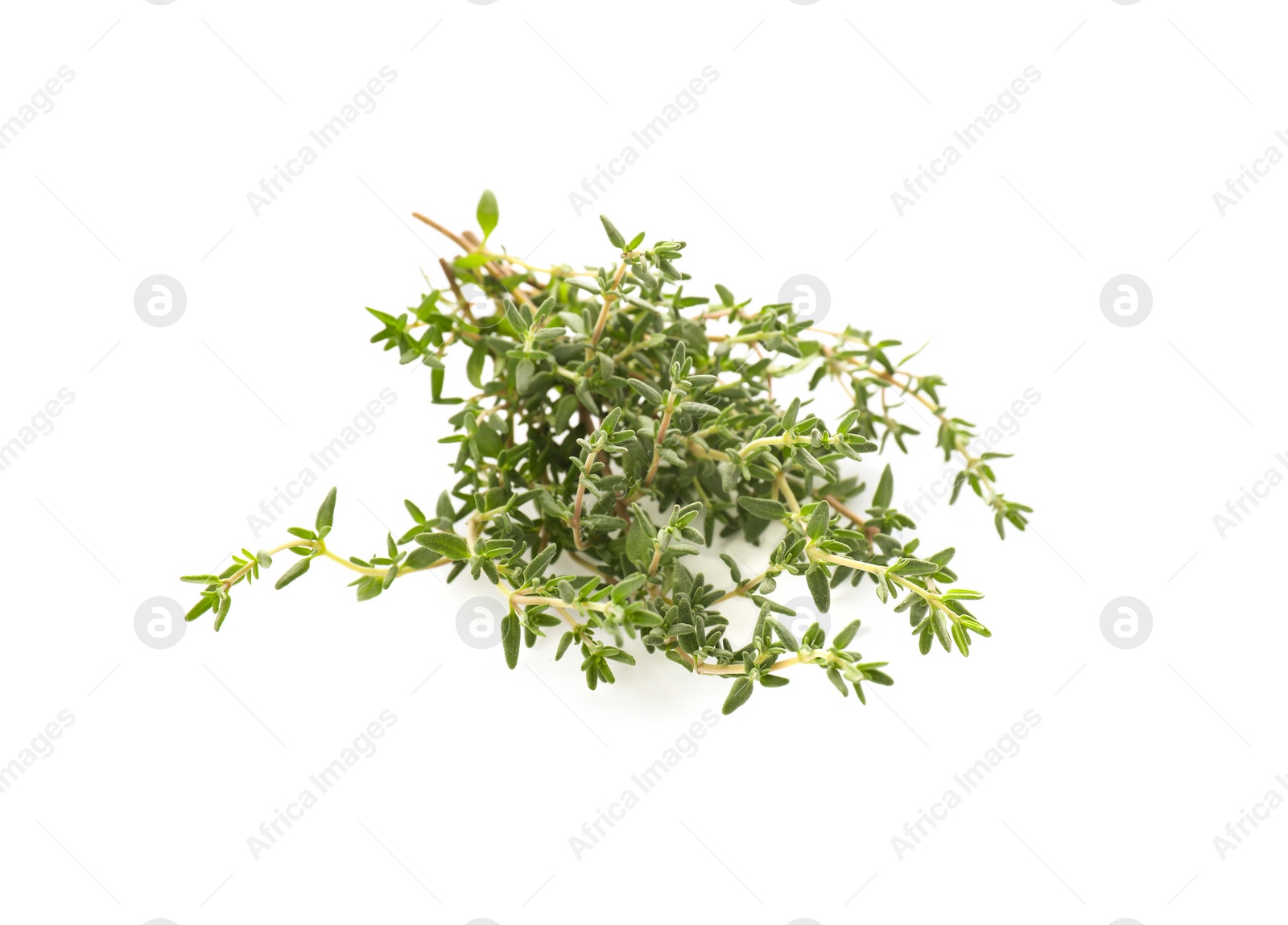 Photo of Bunch of fresh thyme isolated on white