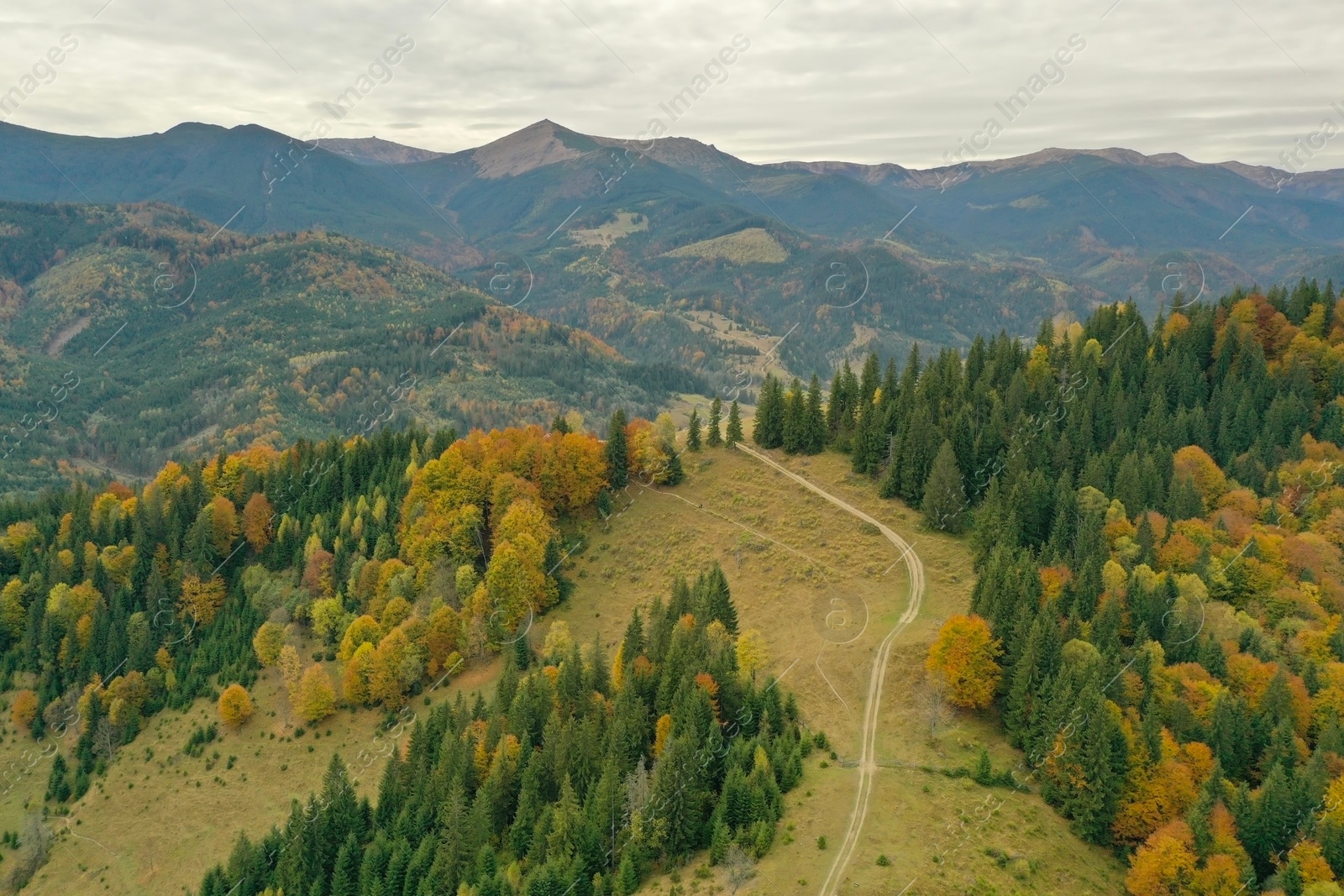 Photo of Aerial view of beautiful mountain forest with countryside road on autumn day