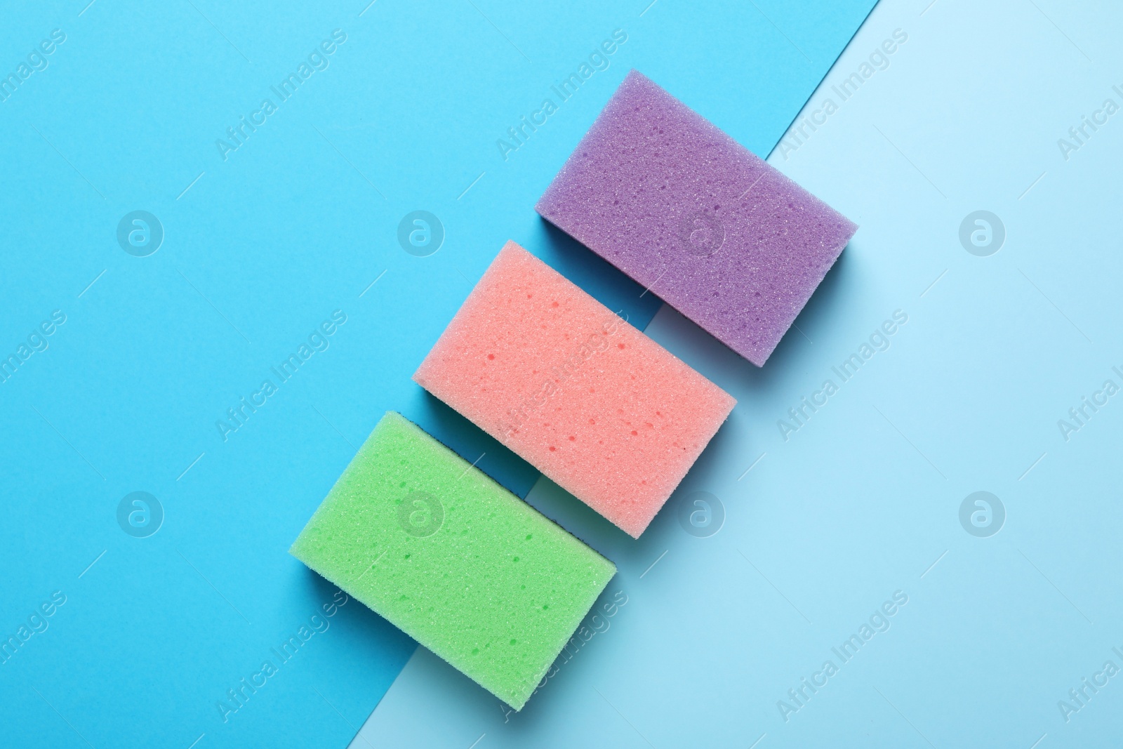 Photo of New sponges on color background, flat lay