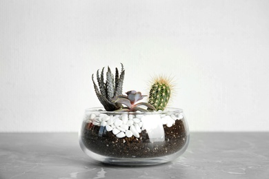 Glass florarium with different succulents on table against white background