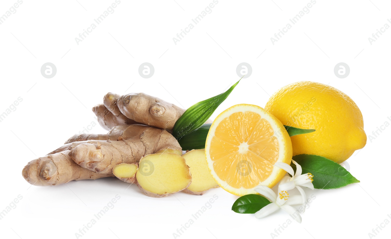 Image of Fresh ginger root and lemon on white background