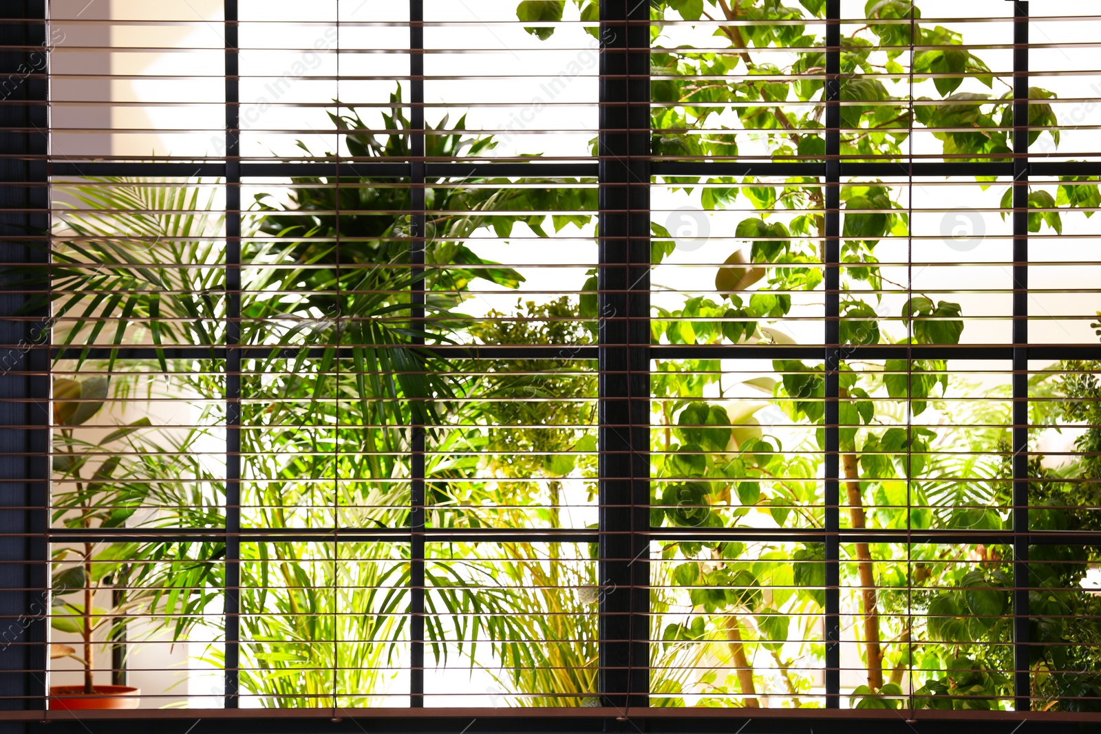 Photo of Beautiful view through window on garden in morning