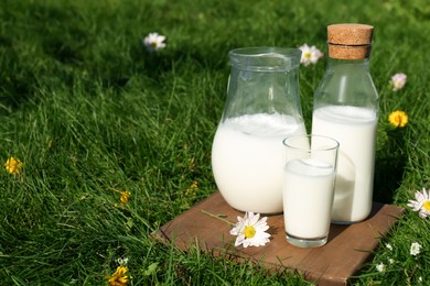 Glassware with fresh milk on green grass outdoors. Space for text