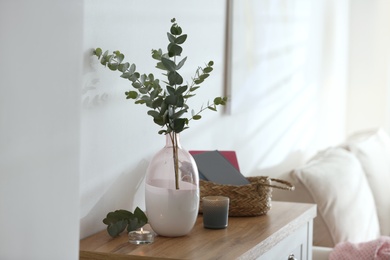 Vase with fresh eucalyptus branches on cabinet in room. Interior design